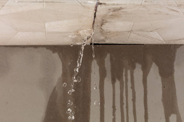 Professional Water Damage Inspection technician working in Nekoosa, WI